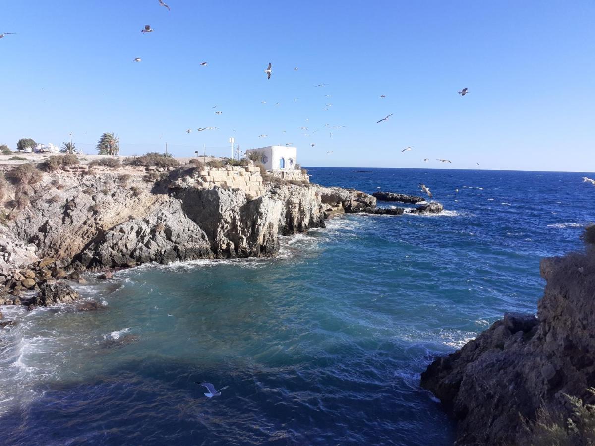 Apartamento Santa Pola, En Playa Del Tamarit Con Piscina. 외부 사진