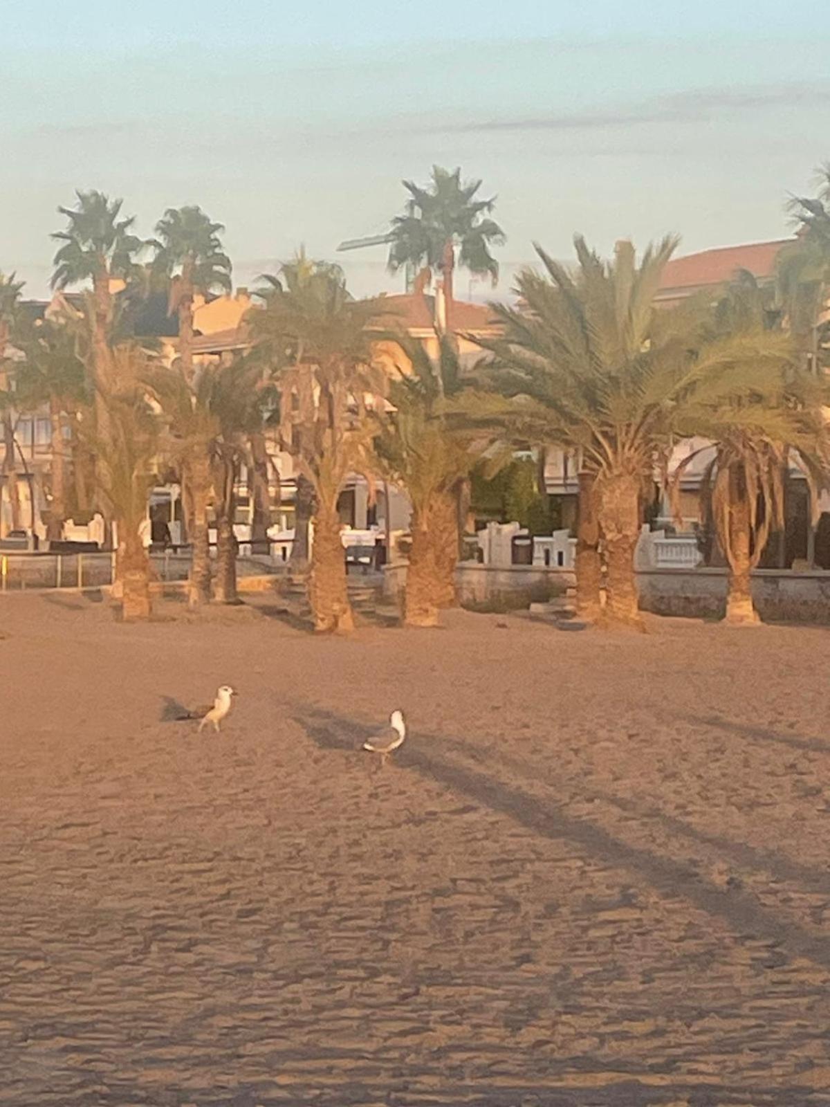 Apartamento Santa Pola, En Playa Del Tamarit Con Piscina. 외부 사진